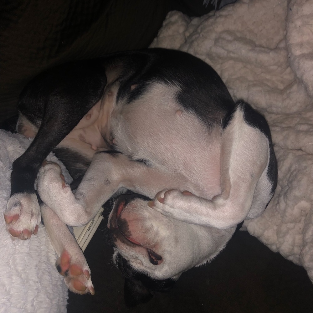 Meet your Posher, Breelyn